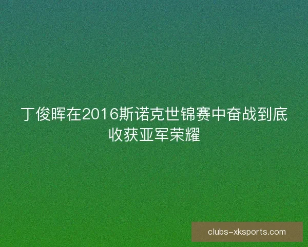 丁俊晖在2016斯诺克世锦赛中奋战到底收获亚军荣耀